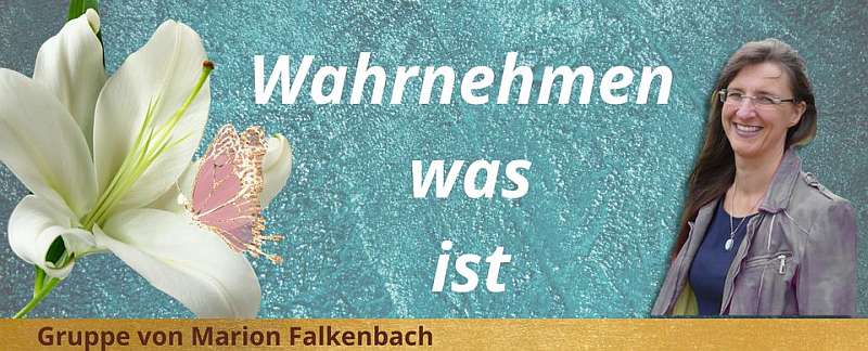 Marion Falkenbach - Wahrnehmen was ist